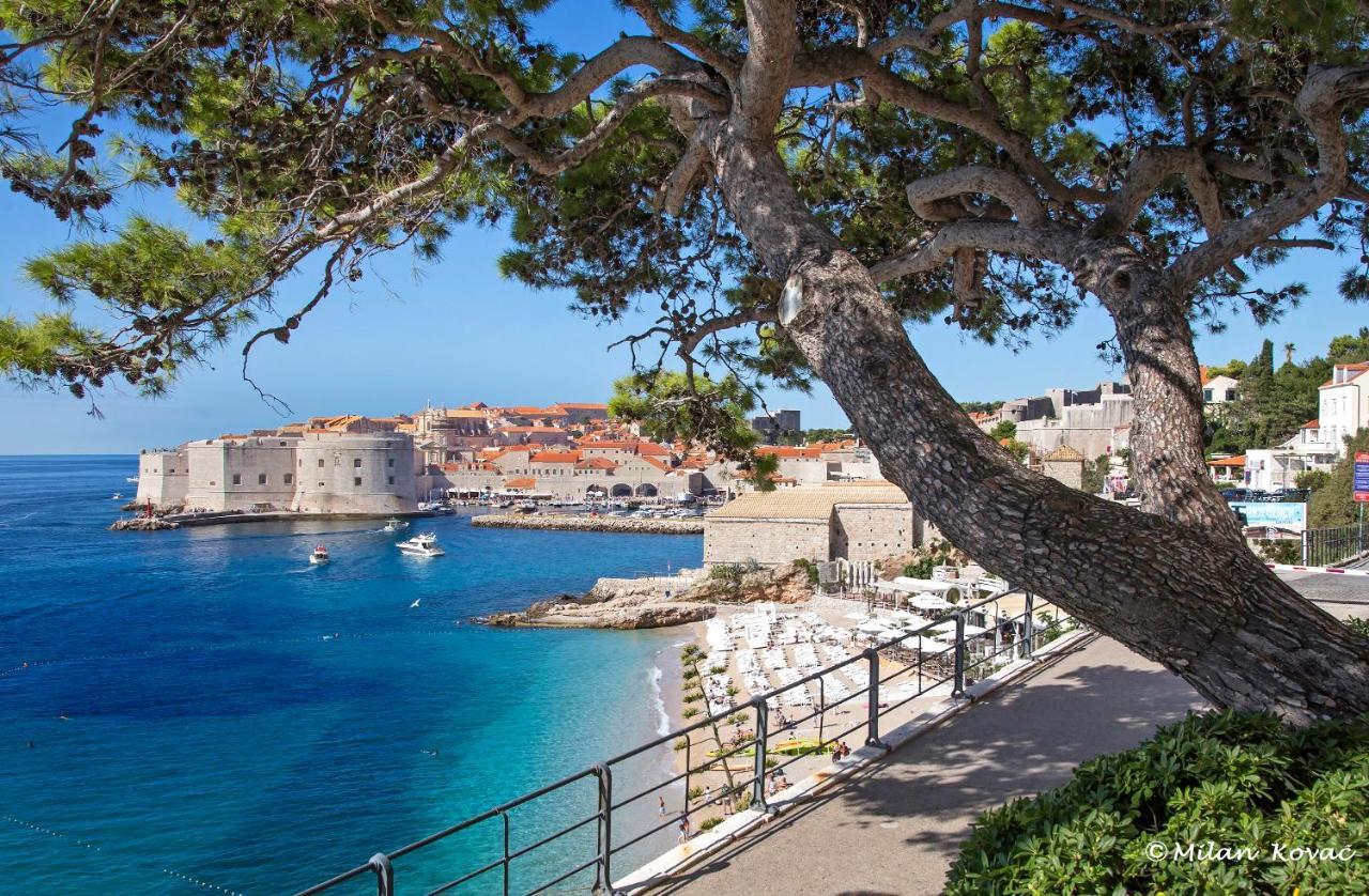 Mirror Apartment Dubrovnik Eksteriør bilde